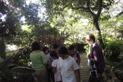 3º y 4º visita Agaete