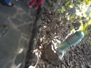 DSC05401.JPG