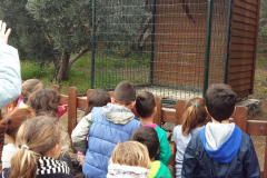 Finca Los Olivos Infantil y Primero