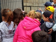 movil 646.jpg