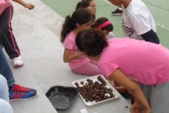 Haciendo pan curso 5º y 6º