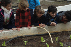 Huerto Infantil 3º y 4º