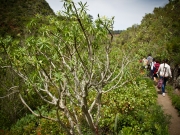 excursion-cole-tilos-de-moya-marzo-2013-110