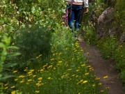 excursion-cole-tilos-de-moya-marzo-2013-112