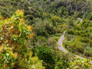 excursion-cole-tilos-de-moya-marzo-2013-120