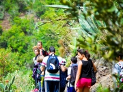 excursion-cole-tilos-de-moya-marzo-2013-122