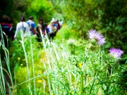 excursion-cole-tilos-de-moya-marzo-2013-126