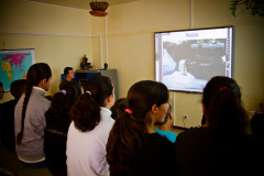 Video Conferencia Pingüinos